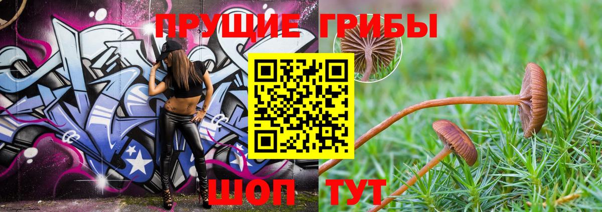 Клин  Псилоцибиновые грибы Cubensis  Вход с VPN  Галлюциногенные грибы мицелий 