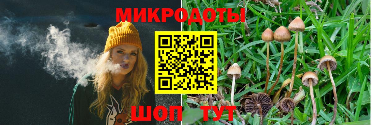 Галлюциногенные грибы прущие грибы Клин